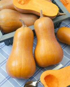 Honeynut (Terra Organics)
