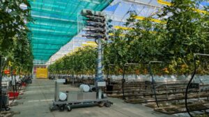 Check Out This Pollination Robot Designed for Tomato Growers