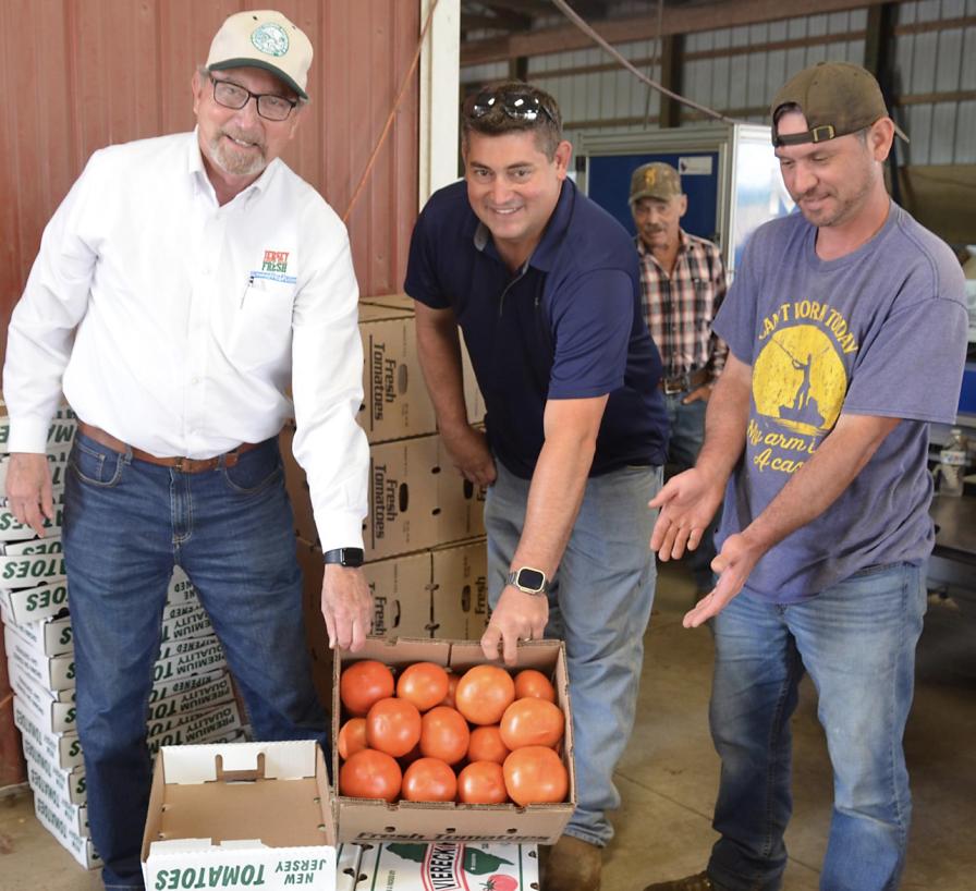 Viereck Farms tomatoes