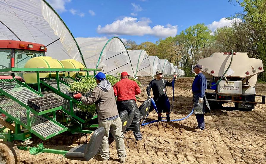 farmworkers at Viereck Farms