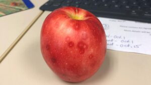 Ways Insect Growth Regulators Work Best for Tree Fruit Growers