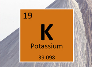 Potassium in Horticulture