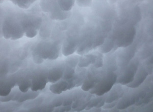 Foliar Nutrition Around Cold Fronts