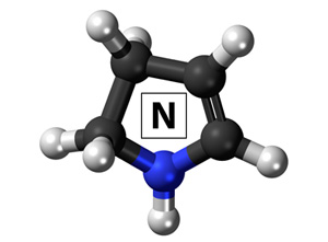 Nitrogen 101 Course