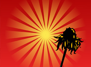 How Plants Deal with Heat