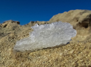 Sodium in Soils and Plants