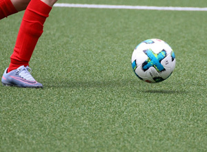 Toxic Turf: A Cautionary Tale