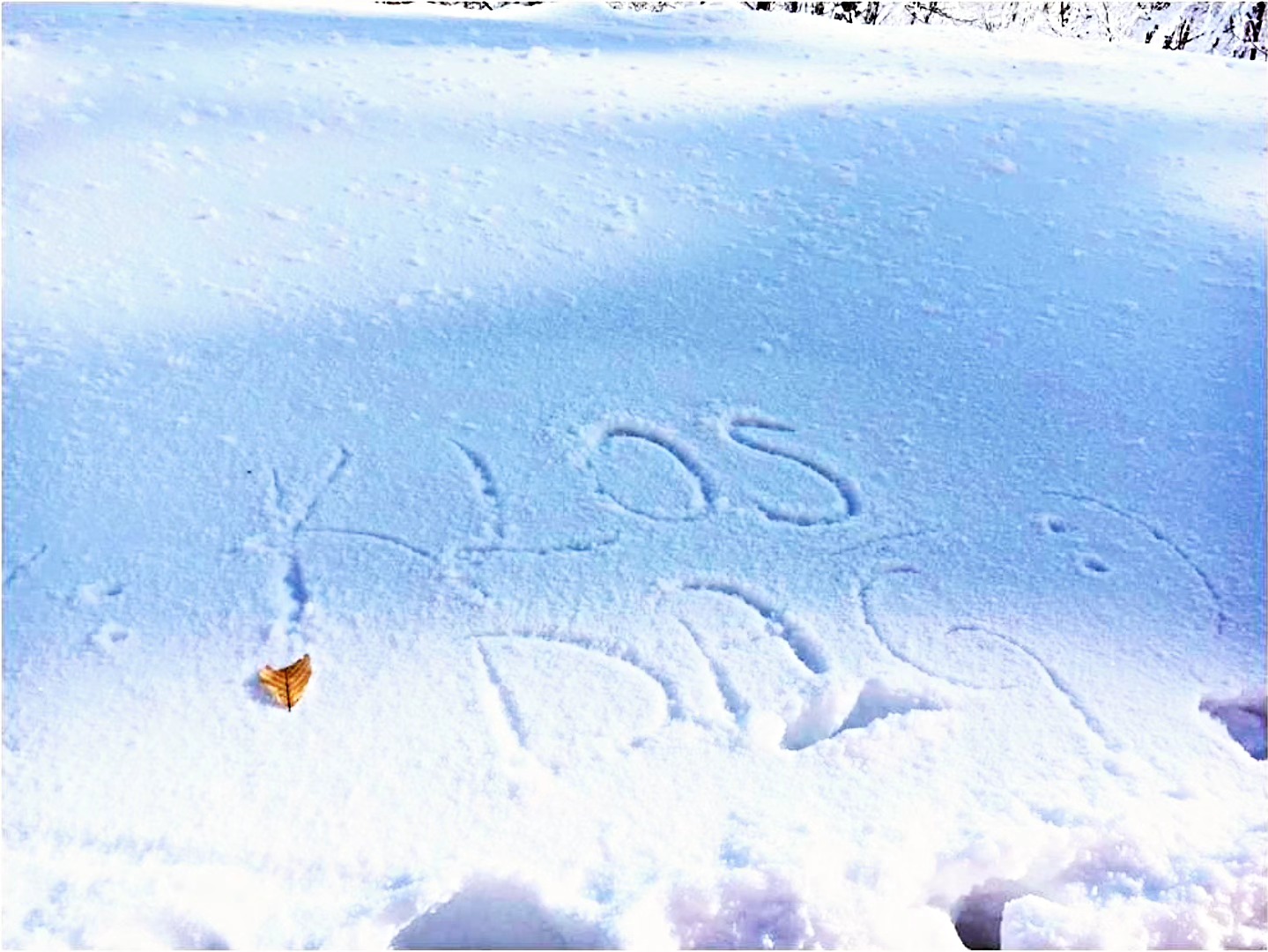 Kartepe07