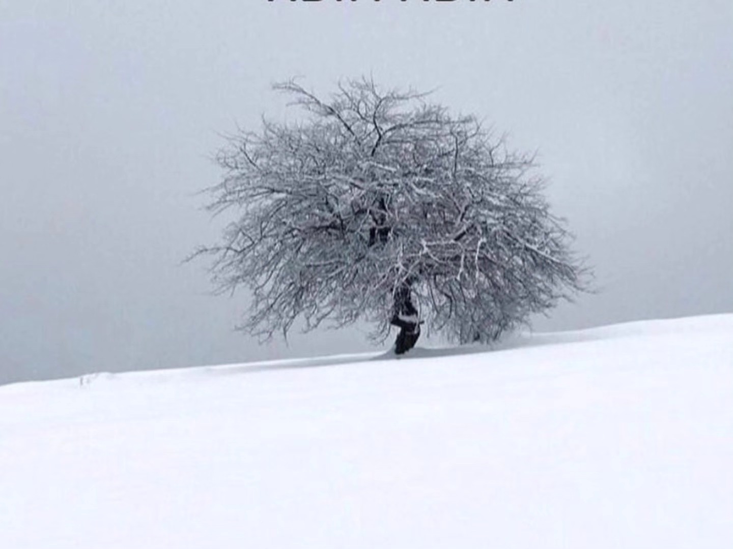 Kartepe09