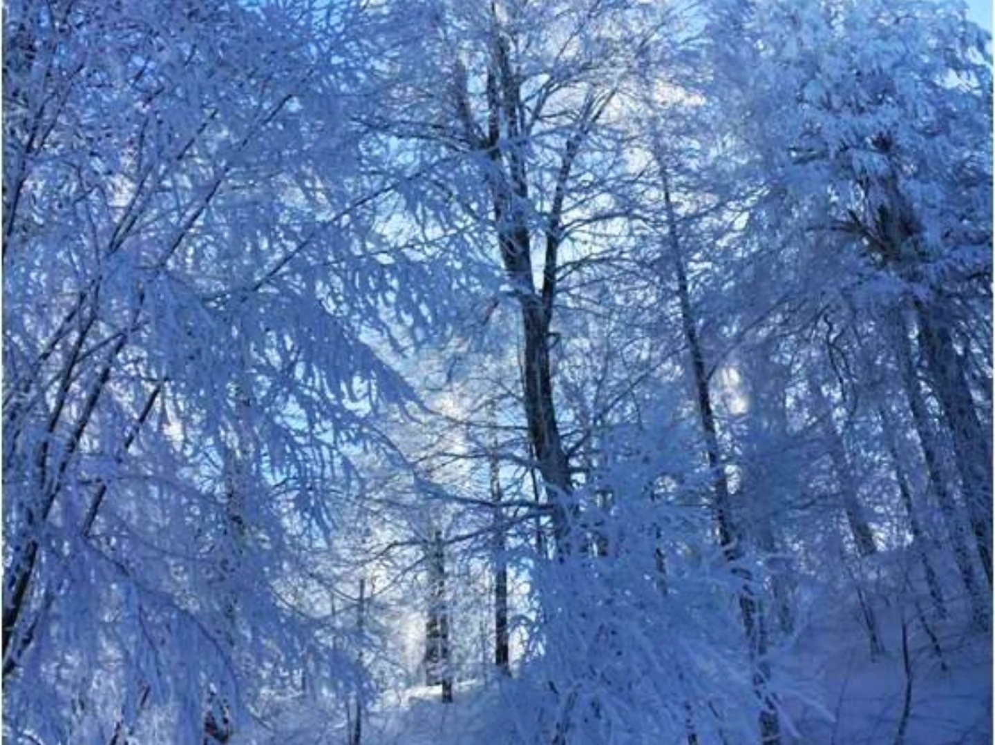 Kartepe13
