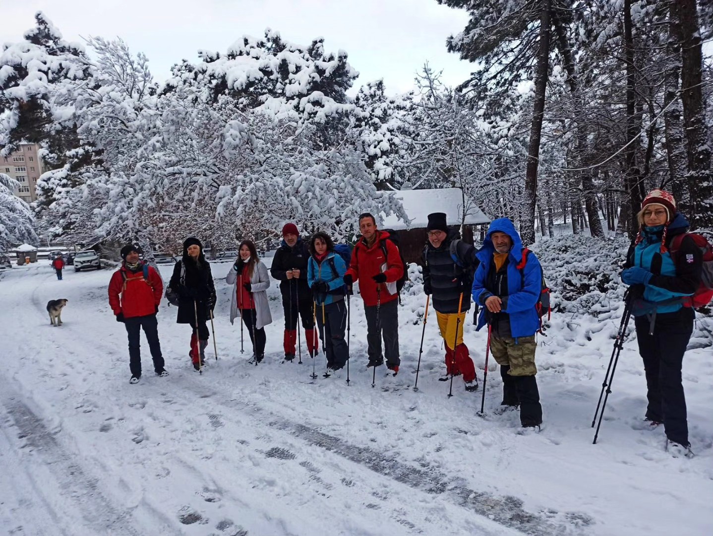Kartepe14