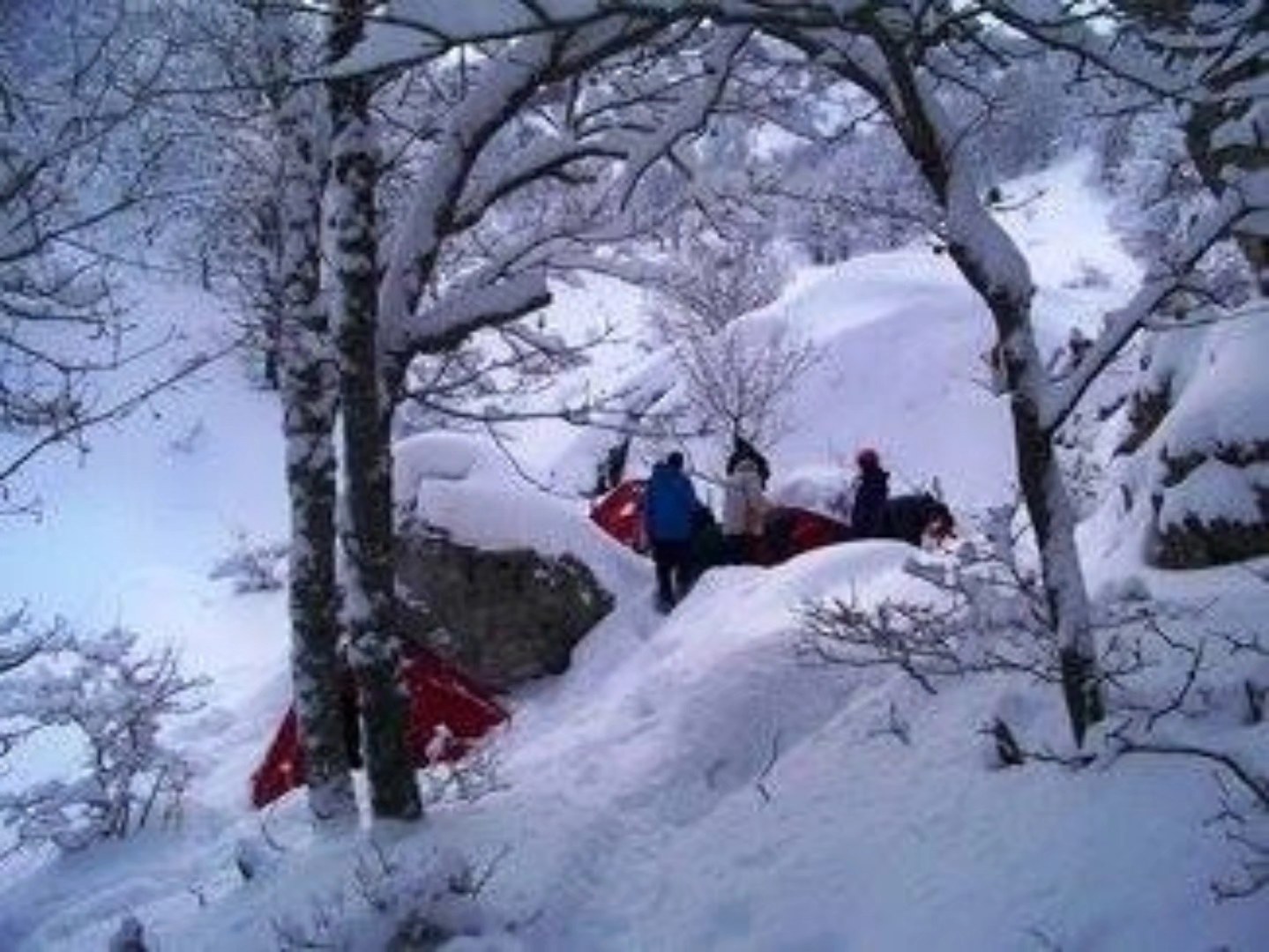 Kartepe16