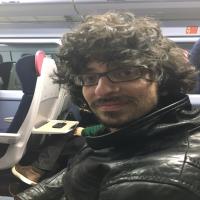 giovanni diana theoretical physics freelance expert