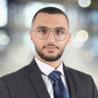 Mostafa D. - Software engineering - Subject Matter Expert from Kolabtree