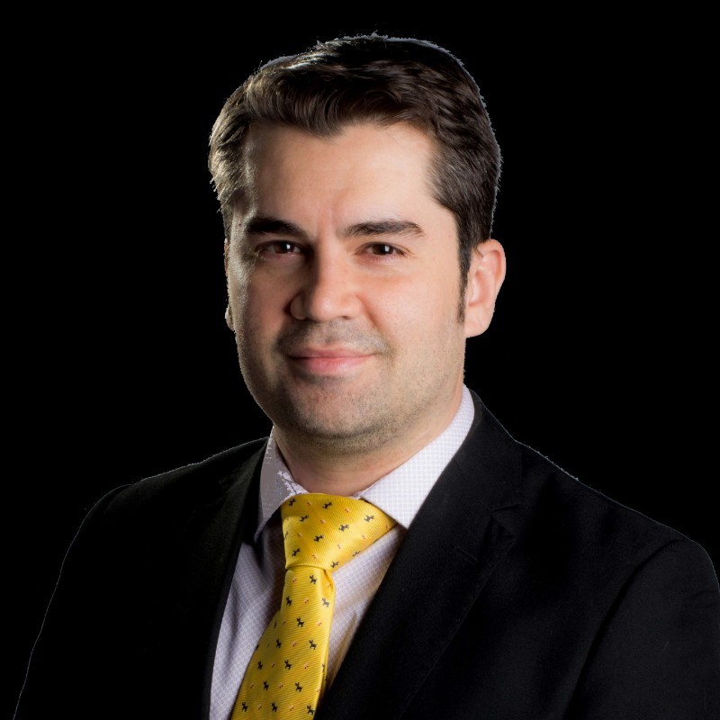 thiago fernandes english language consultant for hire