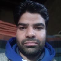 Arshid D. - BSc - Subject Matter Expert from Kolabtree