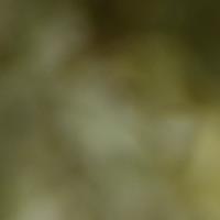 Adnan M. - MS in HRM - Subject Matter Expert from Kolabtree