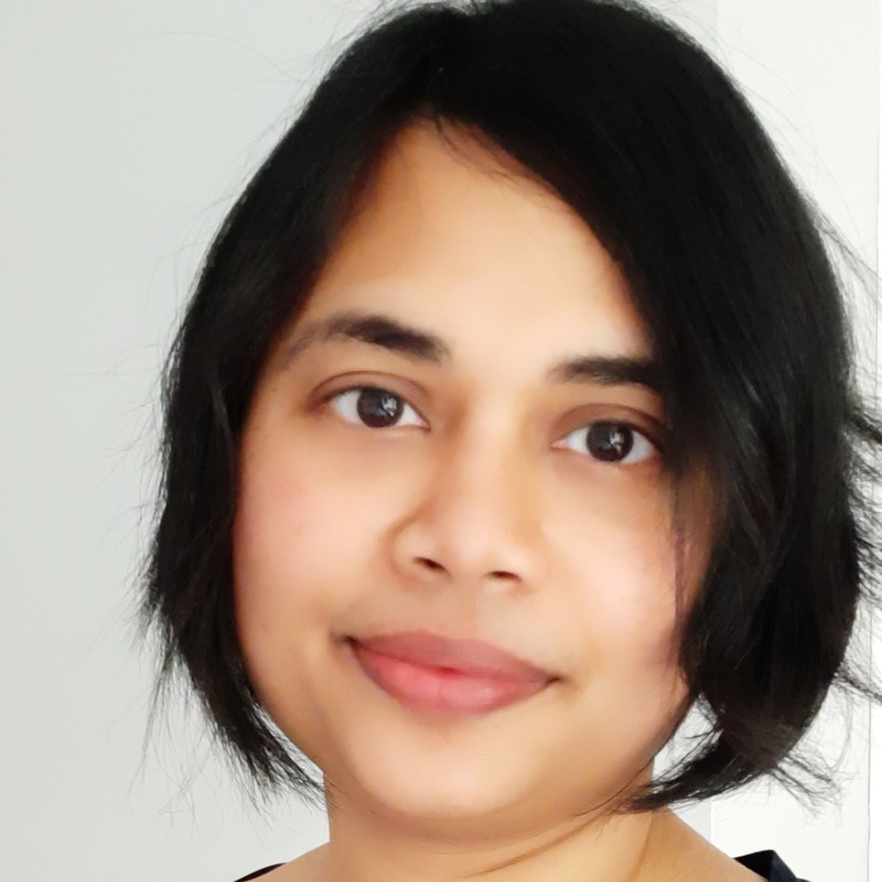 paranjayee mandal mechanical engineering freelance expert