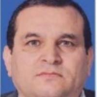 Ramiz A. - PhD in Applied Mathematics and Decision Support Systems - Subject Matter Expert from Kolabtree