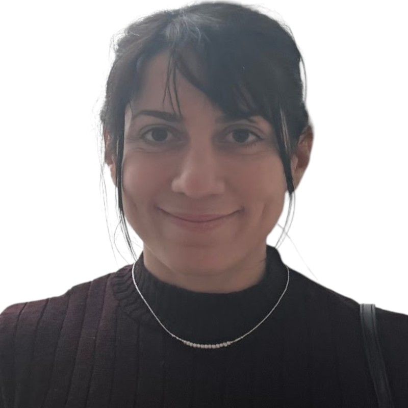 Arefeh S. - PhD - Physics - Subject Matter Expert from Kolabtree