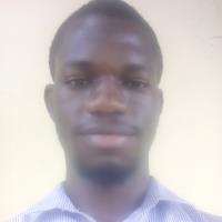 hire freelance finance statistics expert dr rokeeb olayiwola