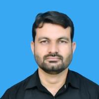 M Qaisar R. - Ph.D - Statistics - Subject Matter Expert from Kolabtree