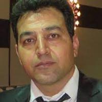 hire freelance meta analysis expert hamid hamidi