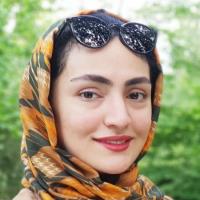 Seyedeh Mehrnaz A. - M.D. - Subject Matter Expert from Kolabtree