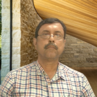 Prabirkumar S. - PhD - Chemical Engineering - Subject Matter Expert from Kolabtree