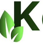 Dr. Sachin R. - BAMS (Bachelor of Ayurvedic Medicine & Surgery) - Subject Matter Expert from Kolabtree