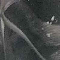 hire freelance pharmaceuticals expert monica akama