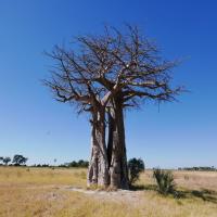 christopher howe creative writing freelancer for hire