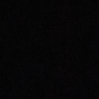 Kamelia P. - MBBS - Subject Matter Expert from Kolabtree