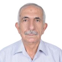 Imadeddin S. - Bachelor of Science in Applied Geology - Subject Matter Expert from Kolabtree