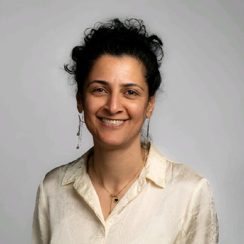 arezou ivanova ceramic engineering freelance expert