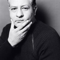 luis mariano montemayor arts administration management freelance expert