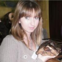 Irma A. - MSc in Environmental Biology - Subject Matter Expert from Kolabtree