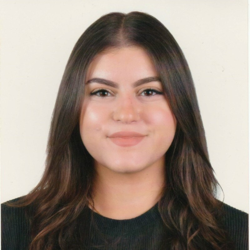 Leen D. - Data Science and Artificial Intelligence - Subject Matter Expert from Kolabtree