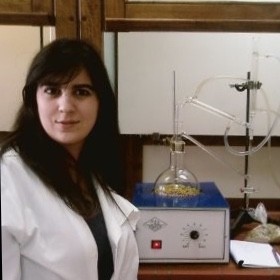 hire freelance medical imaging expert elsa maltez