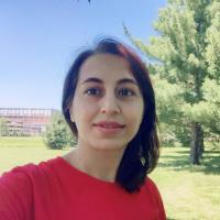 Somayeh M. - PhD - Subject Matter Expert from Kolabtree