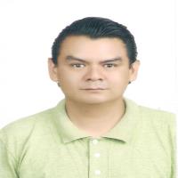 ricardo perez aguila neural computation freelance expert