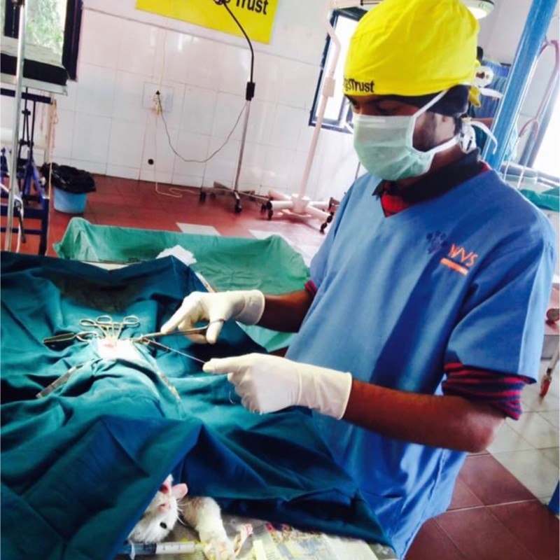 Pavan Kumar M. - MVSc - Subject Matter Expert from Kolabtree