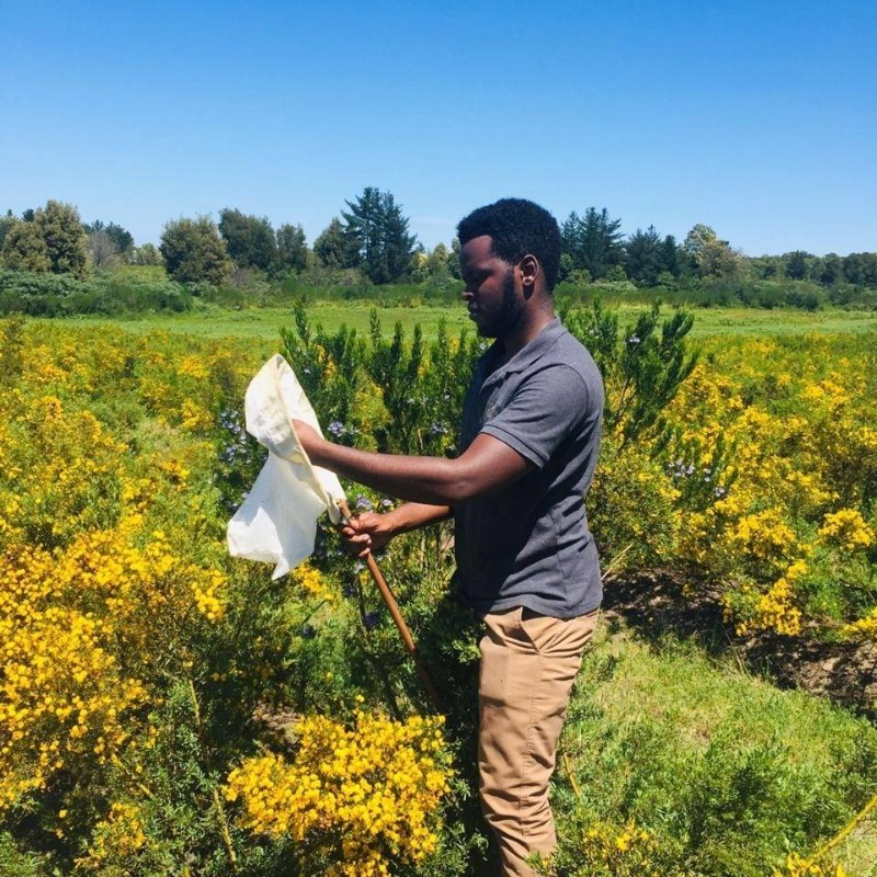 Tapiwa M. - PhD. Entomology - Zoology and Entomology - Subject Matter Expert from Kolabtree