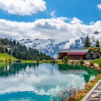 THANUSHA M. - PhD in Medical Science - Subject Matter Expert from Kolabtree