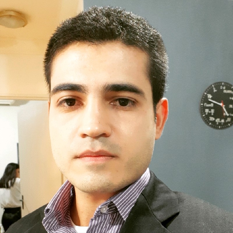 david pinto predictive analytics freelance expert