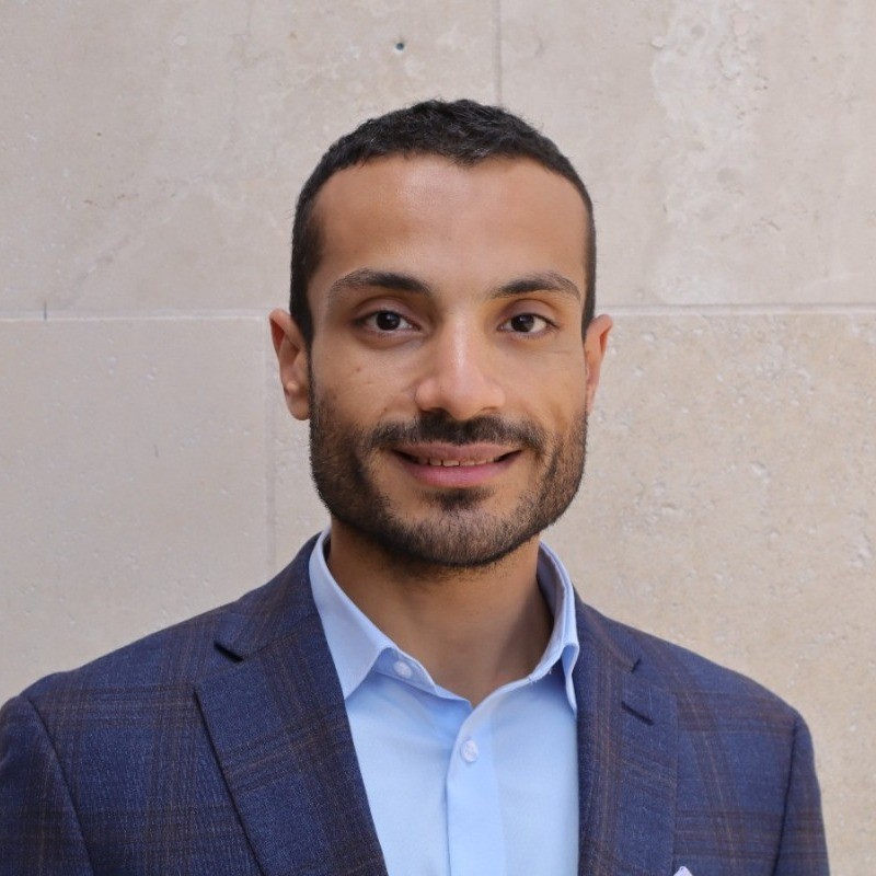 Ahmed K. - PhD - Subject Matter Expert from Kolabtree