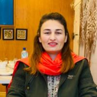 Sania A. - bachelor of education - Subject Matter Expert from Kolabtree