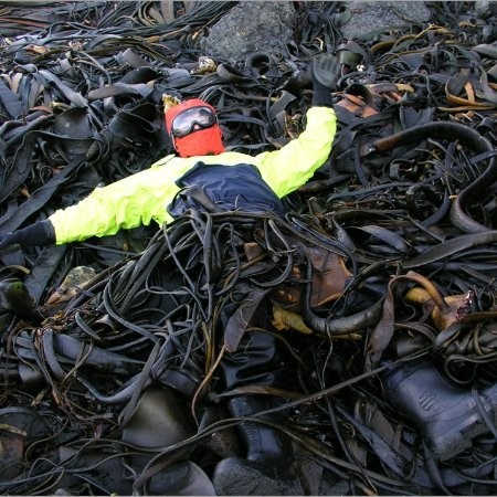 michael rule quantitative research freelancer for hire