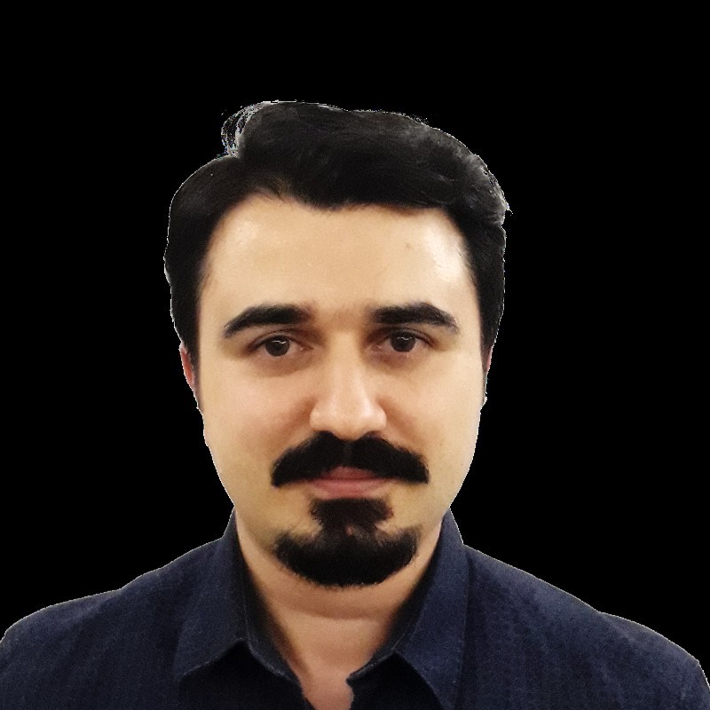 S.Turgut I. - PhD - Subject Matter Expert from Kolabtree