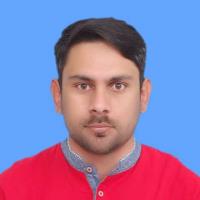 Basit A. - PROJECT MANAGEMENT - Subject Matter Expert from Kolabtree